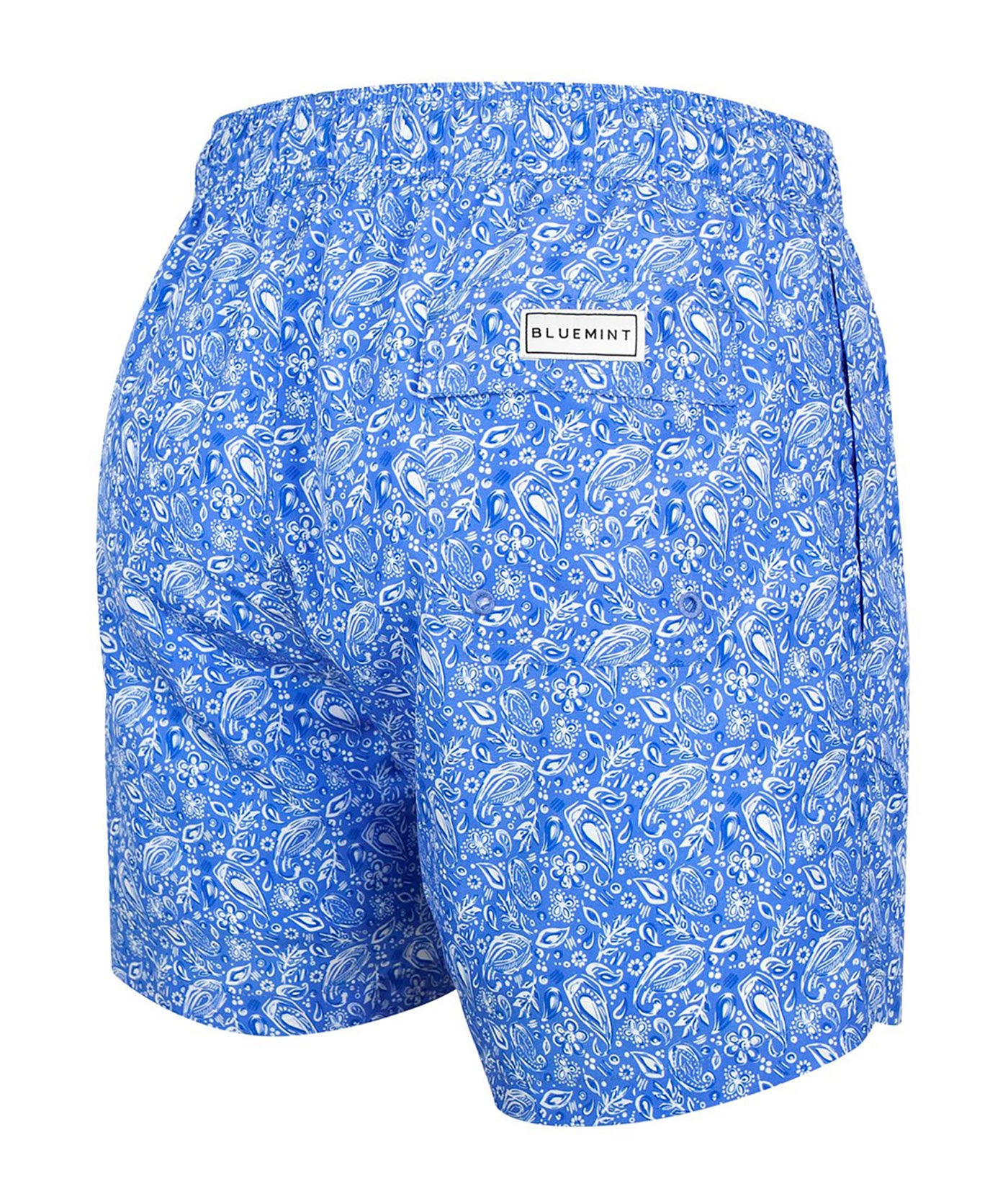 BLUEMINT Logan Flyleaf Paisley Swim Shorts LOGAN Ocean Drive