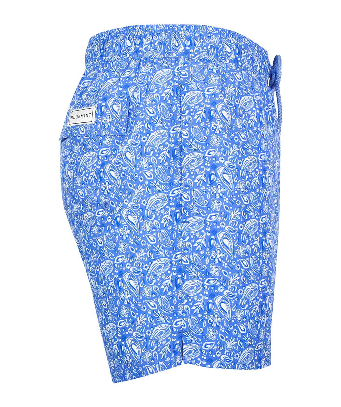 BLUEMINT Logan Flyleaf Paisley Swim Shorts LOGAN Ocean Drive