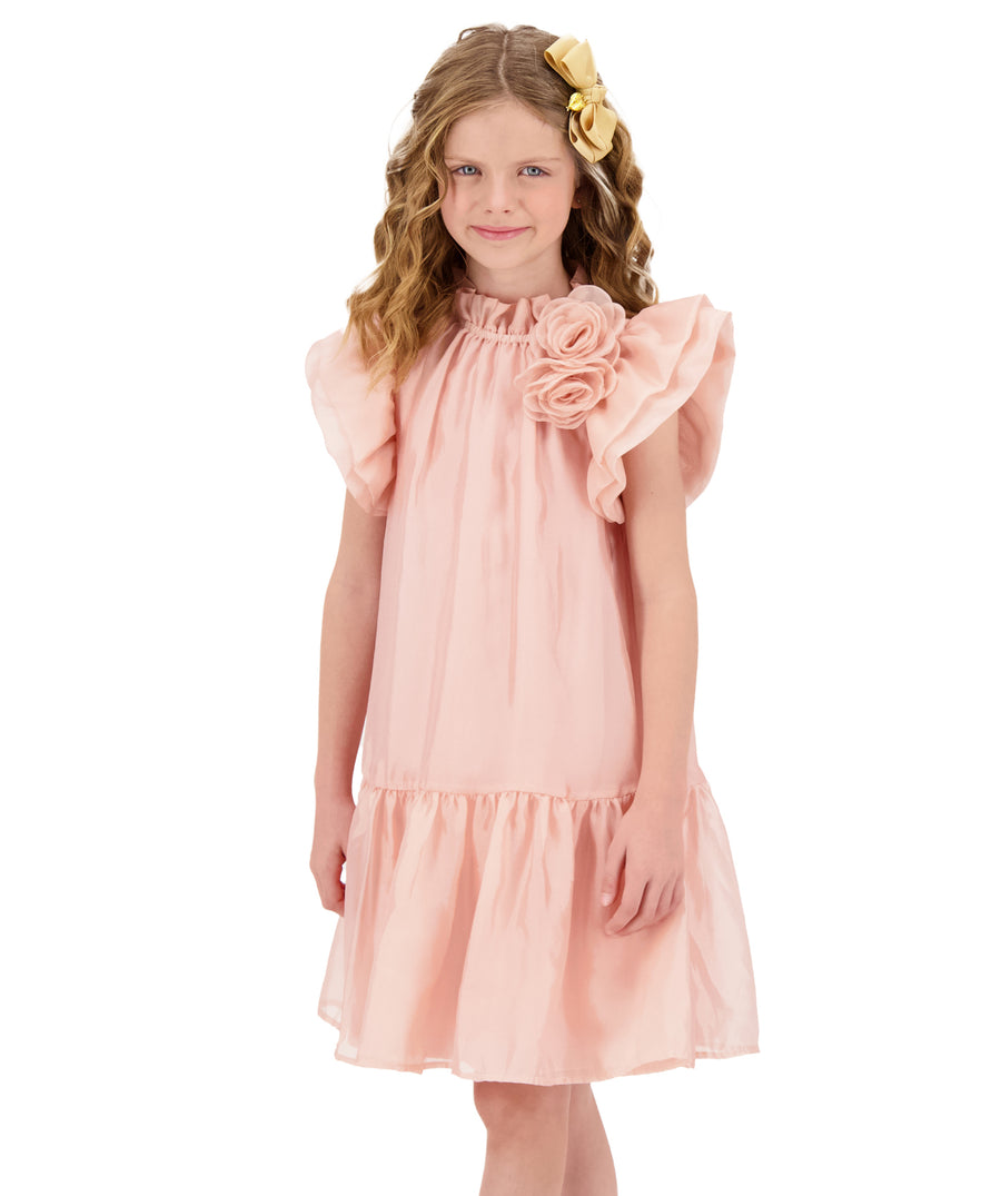 ANGEL'S FACE  Loreen Flowers Trim Dress LOREEN